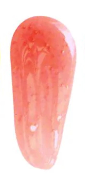 Stellie Shortcake